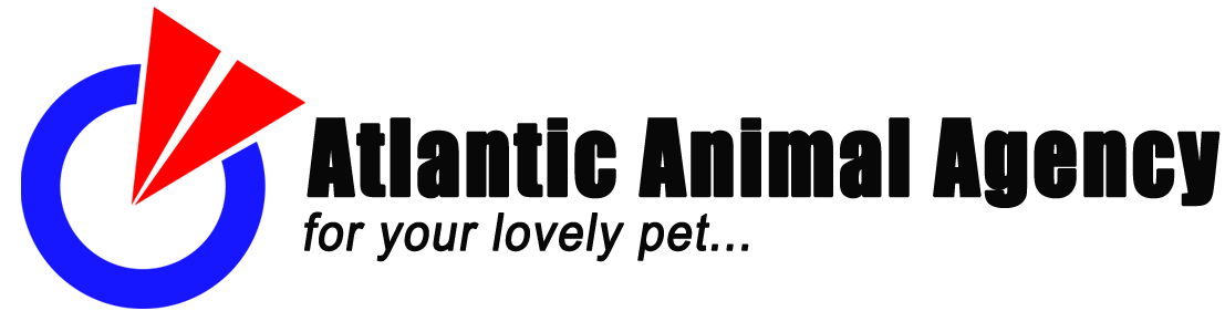 Atlantic Animal Agency